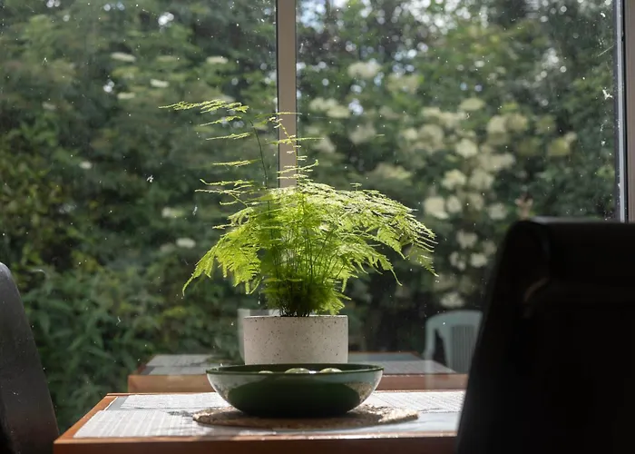 Rathdermot Tipperary