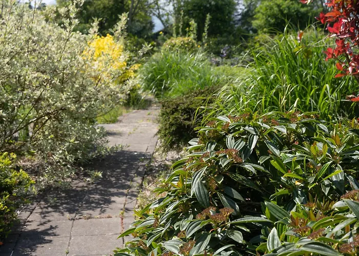 Rathdermot * Tipperary